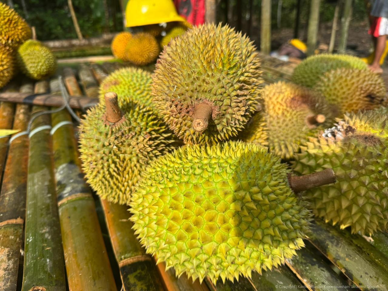 WhatsApp Image 2026 04 07 at 17.59.59