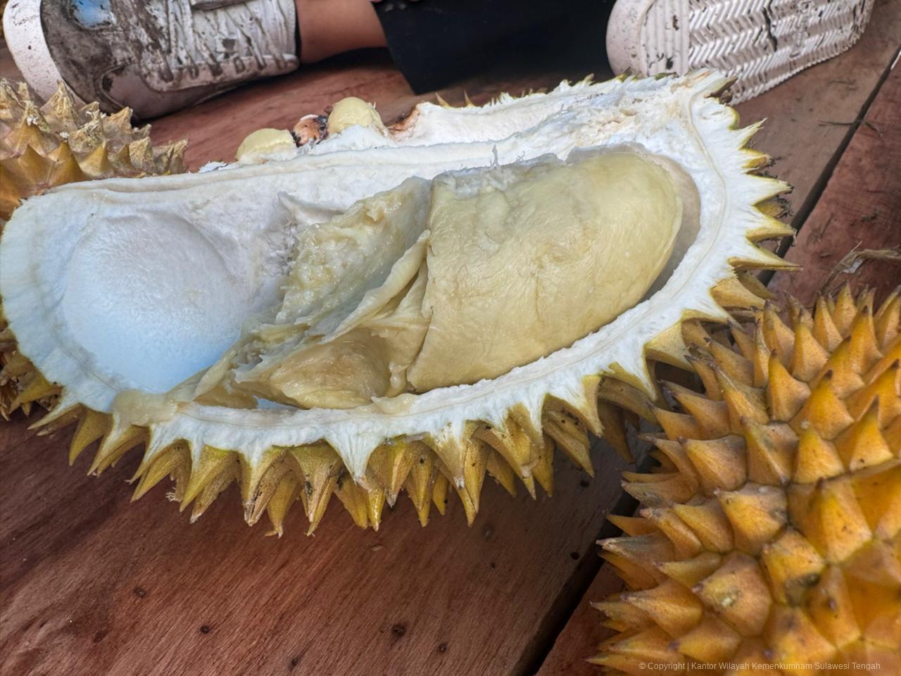 WhatsApp Image 2026 04 07 at 18.00.00