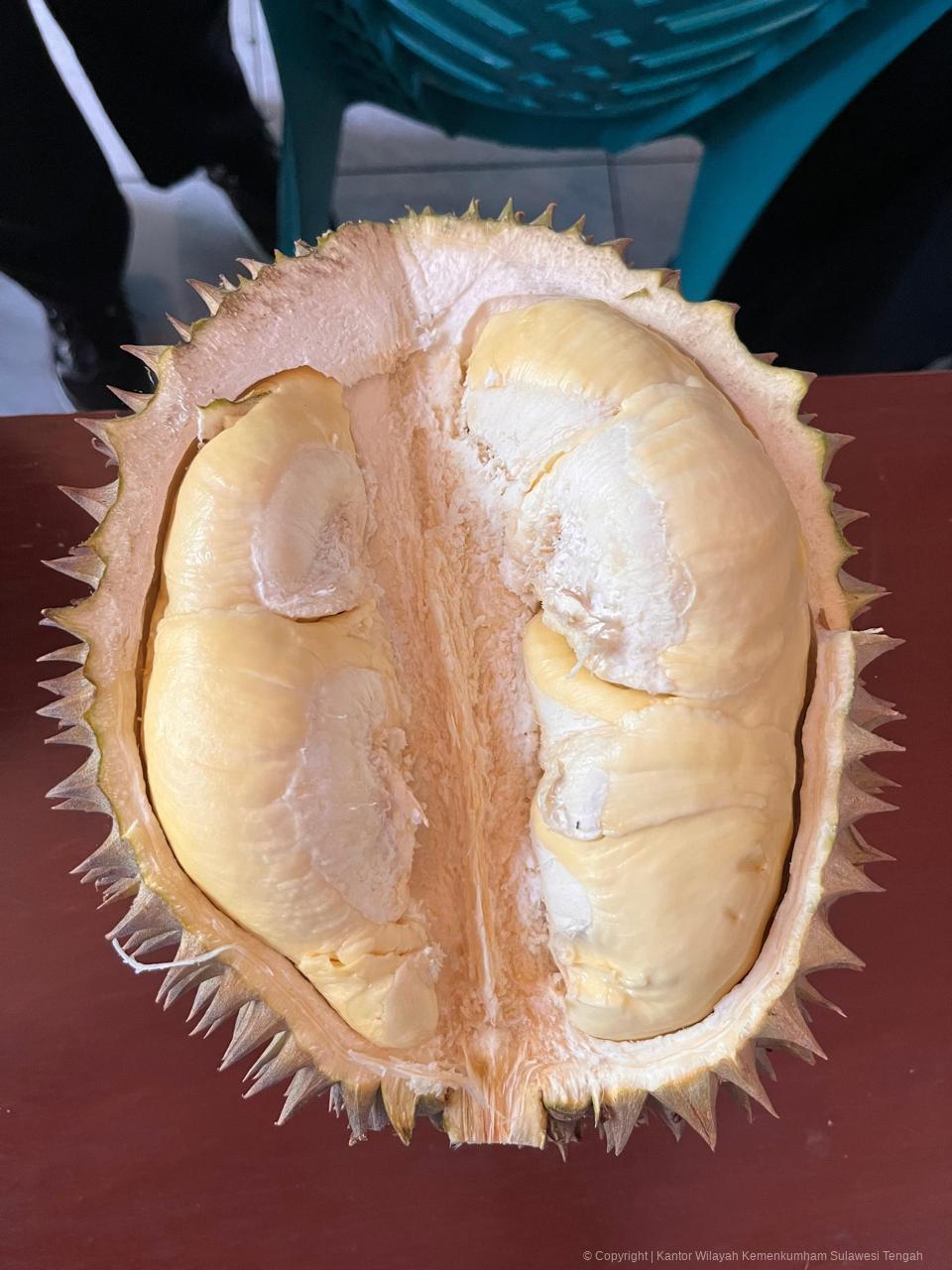 WhatsApp Image 2026 04 07 at 20.41.24