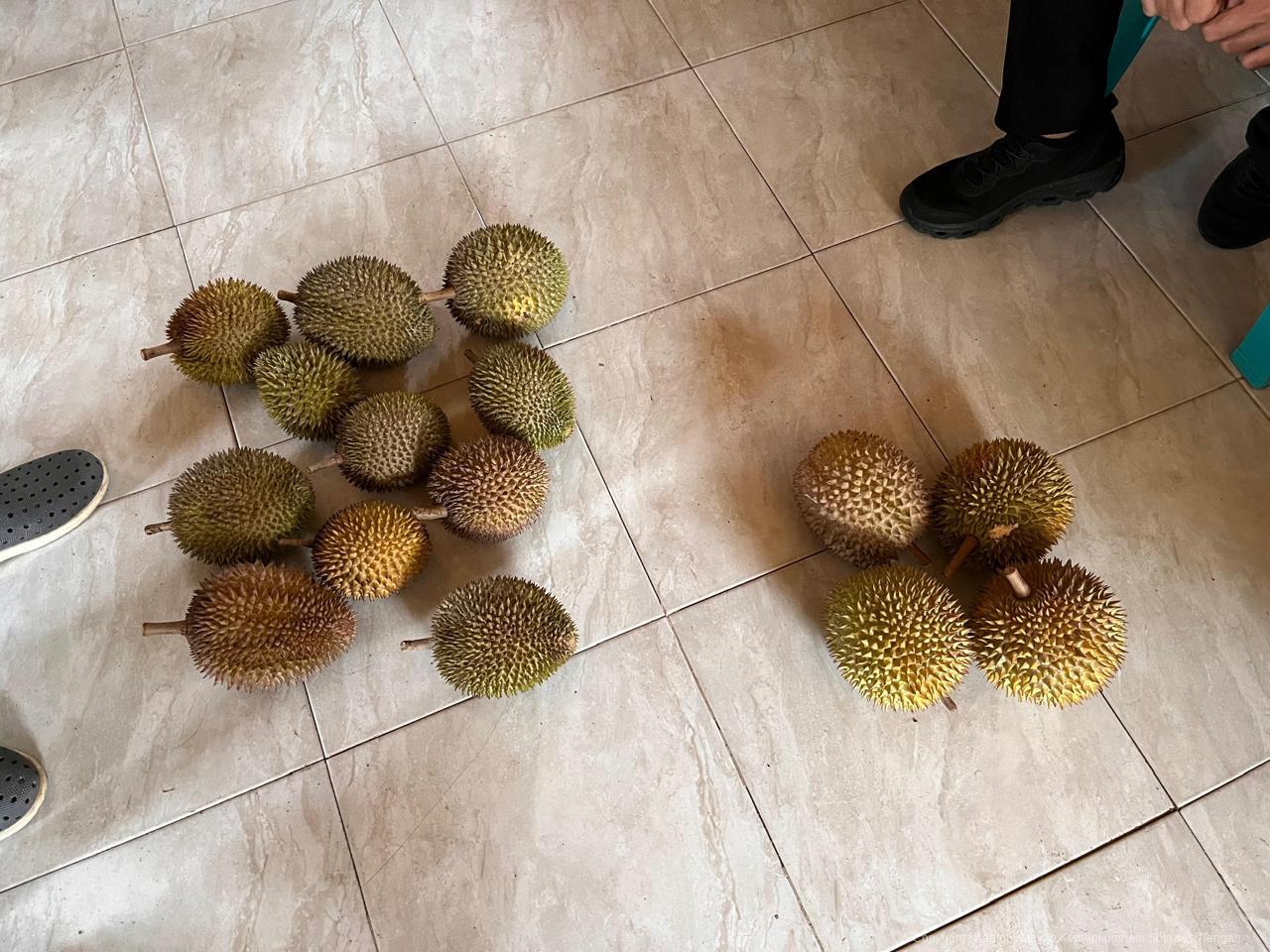 WhatsApp Image 2026 04 07 at 20.41.24 1