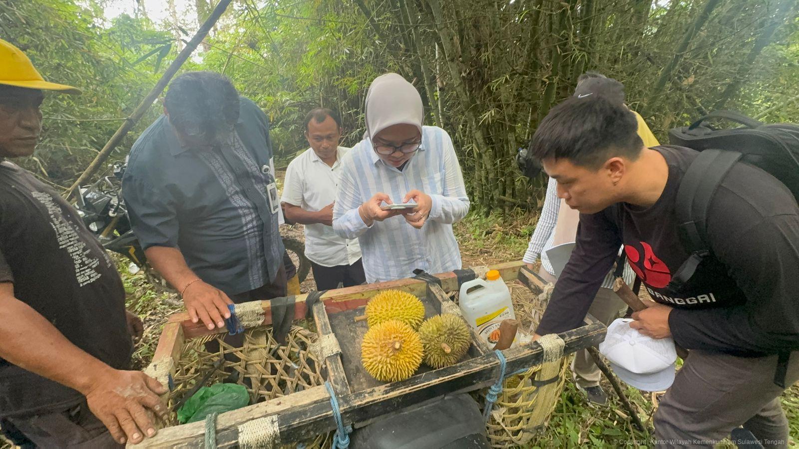 WhatsApp Image 2026 04 08 at 02.51.06