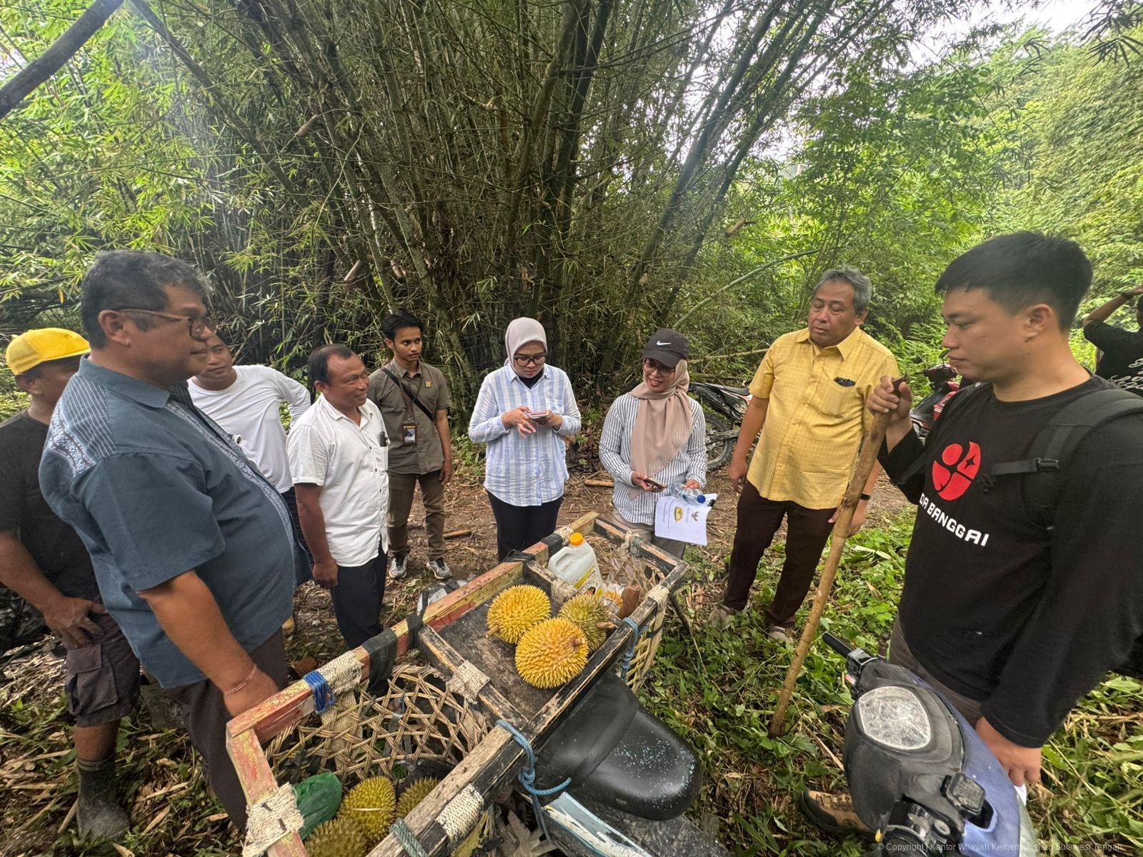 WhatsApp Image 2026 04 08 at 02.51.07