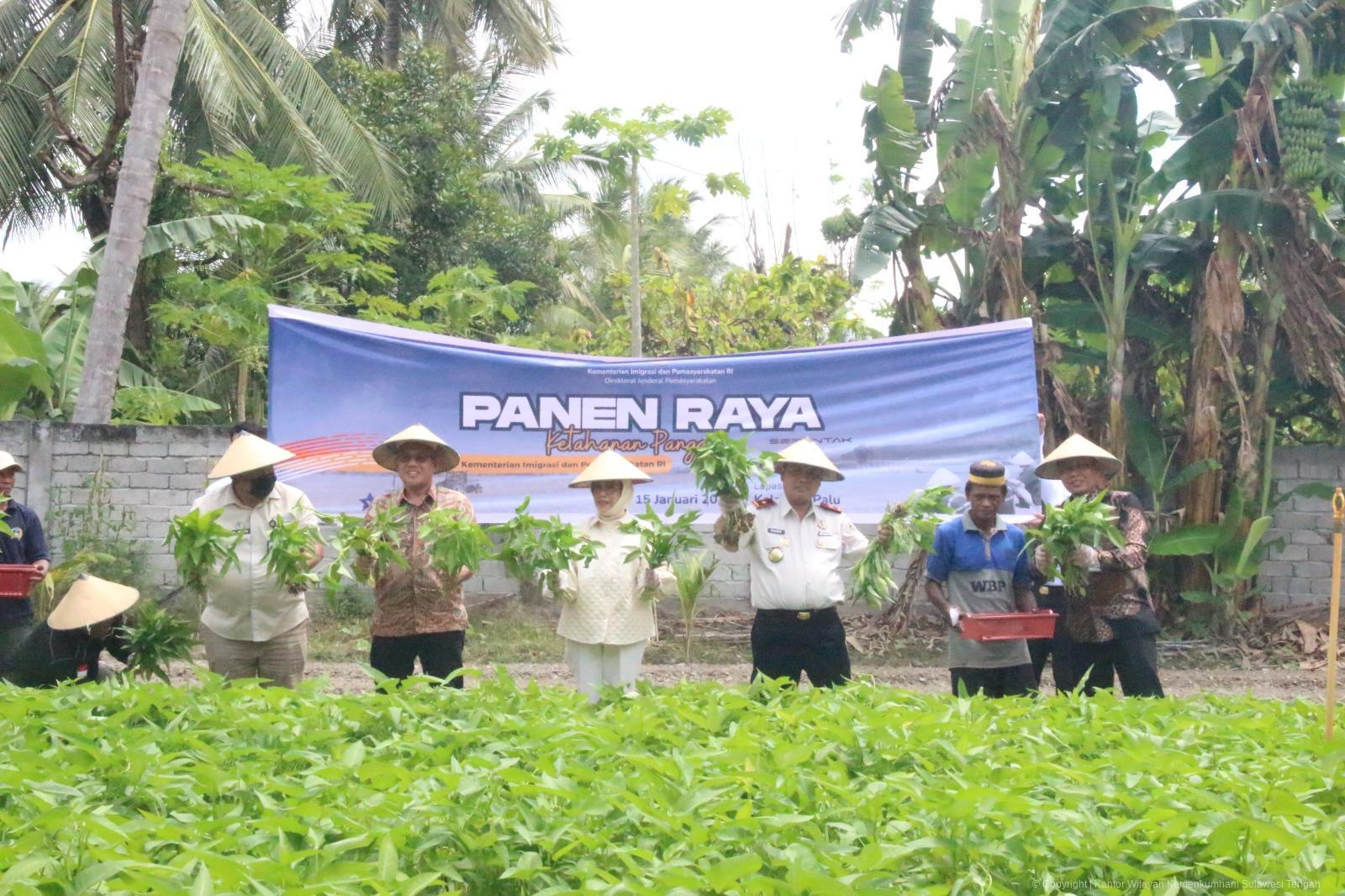 WhatsApp Image 2026 01 15 at 13.23.37