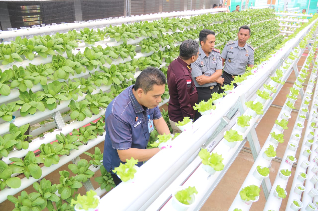 WhatsApp Image 2023 08 03 at 18.37.52